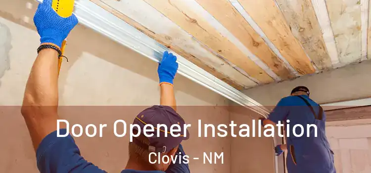 Door Opener Installation Clovis - NM