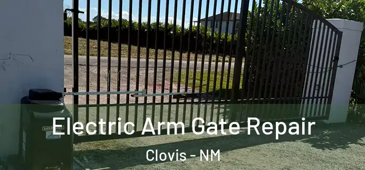  Electric Arm Gate Repair Clovis - NM