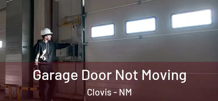  Garage Door Not Moving Clovis - NM