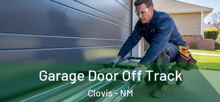  Garage Door Off Track Clovis - NM