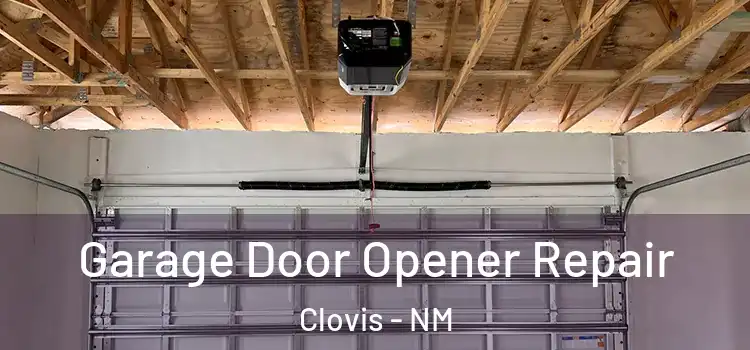  Garage Door Opener Repair Clovis - NM