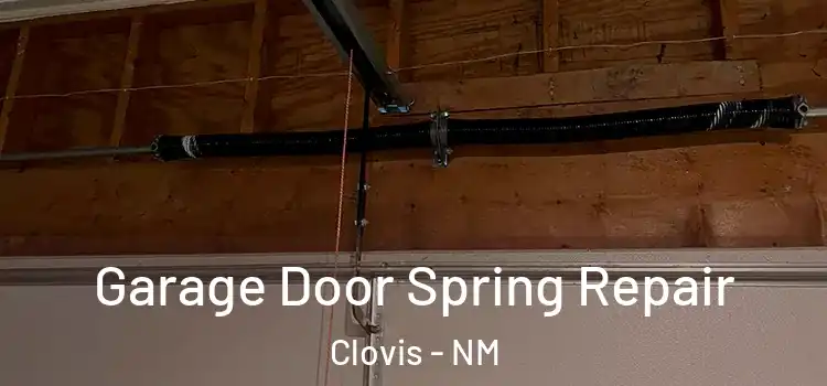  Garage Door Spring Repair Clovis - NM