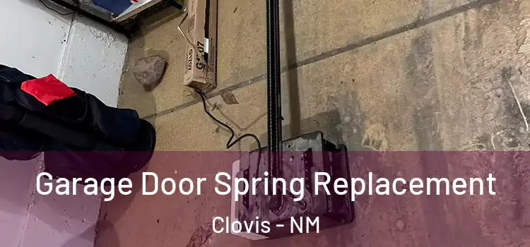  Garage Door Spring Replacement Clovis - NM