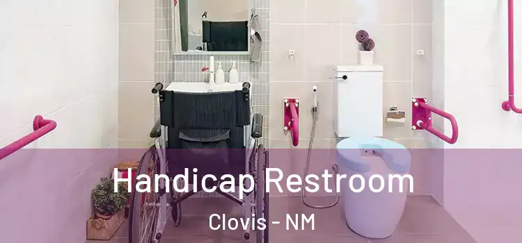  Handicap Restroom Clovis - NM