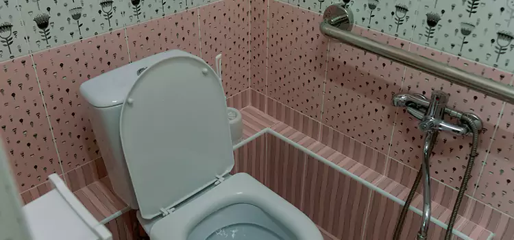 Meeting Diverse Needs With Accessible Restroom Solutions in Clovis, NM