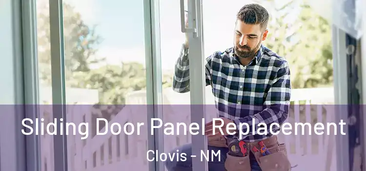  Sliding Door Panel Replacement Clovis - NM